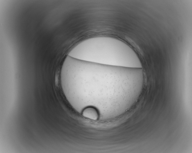 X0000116350026200912011047
