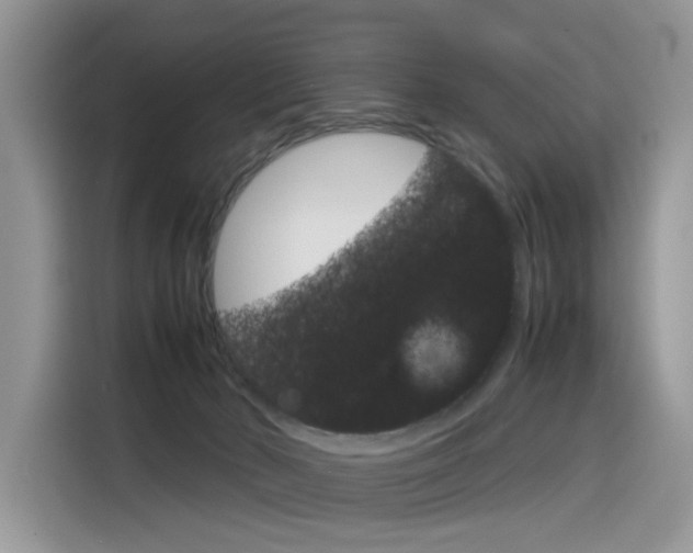X0000116350030200912011047