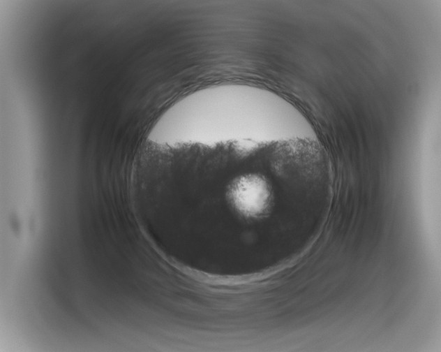 X0000116350034200912011047