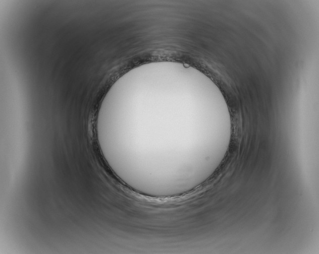 X0000116350038200912011047