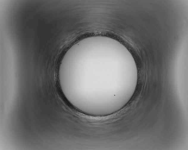 X0000116350039200912011047