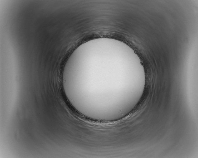 X0000116350040200912011047