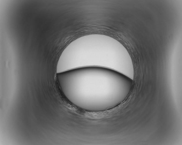 X0000116350041200912011047