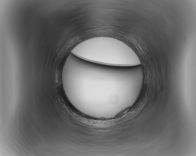 X0000116350044200912011047