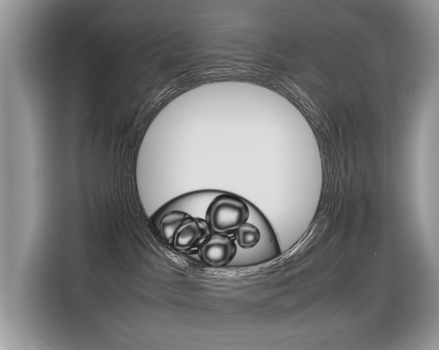 X0000116350045200912011047