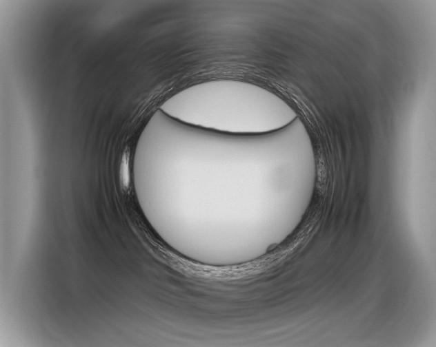 X0000116350046200912011047