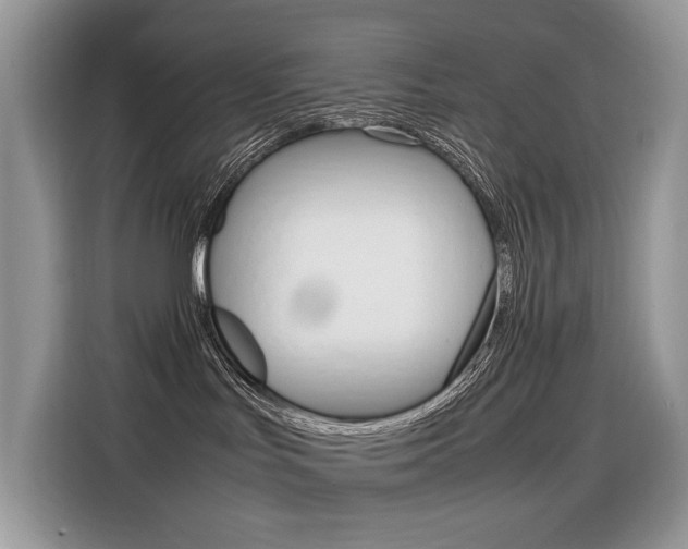 X0000116350047200912011047