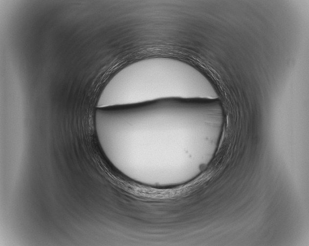 X0000116350048200912011047