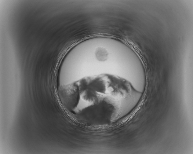 X0000116350049200912011046