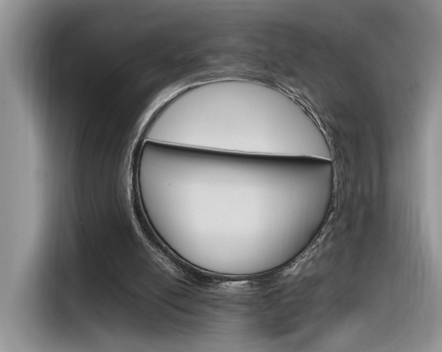 X0000116350054200912011046