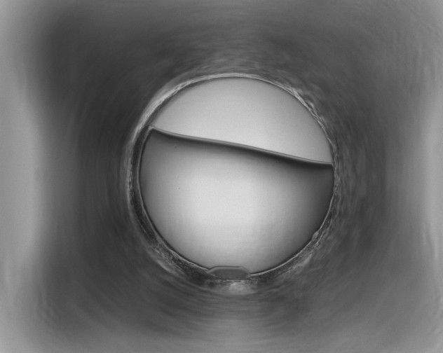 X0000116350056200912011046