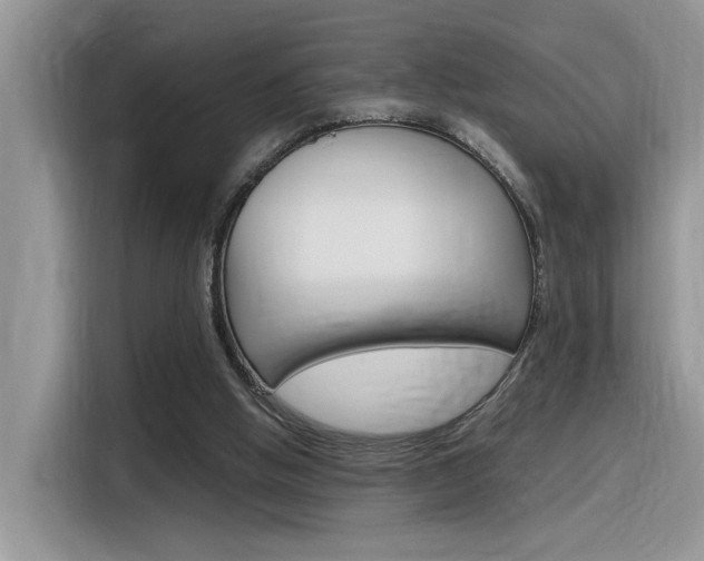 X0000116350058200912011046