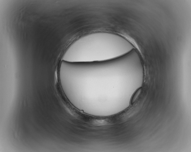 X0000116350061200912011046