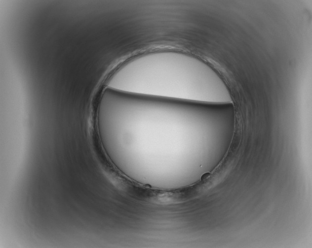X0000116350064200912011046