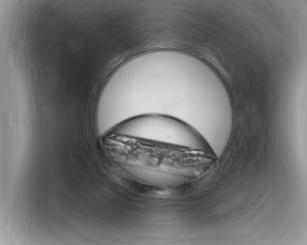 X0000116350068200912011046