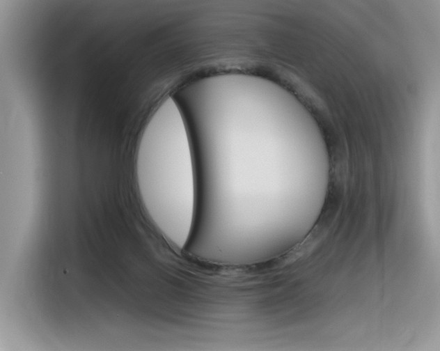 X0000116350070200912011046