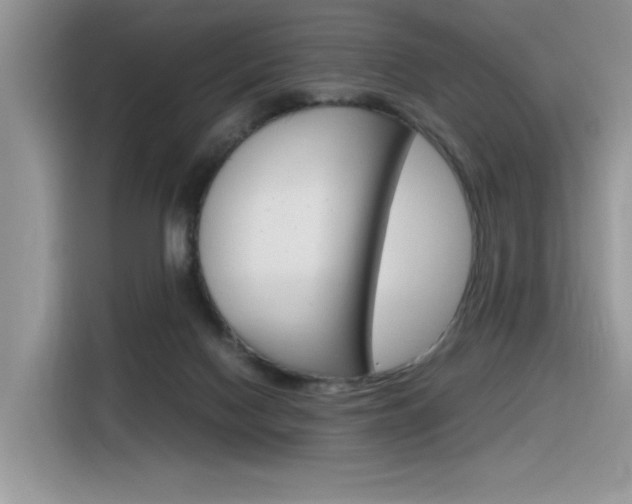 X0000116350074200912011047