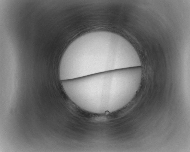 X0000116350075200912011047