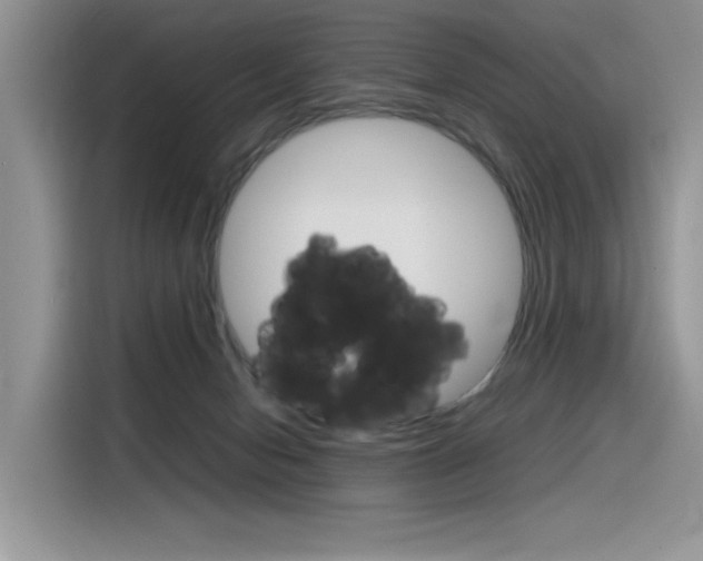 X0000116350078200912011047