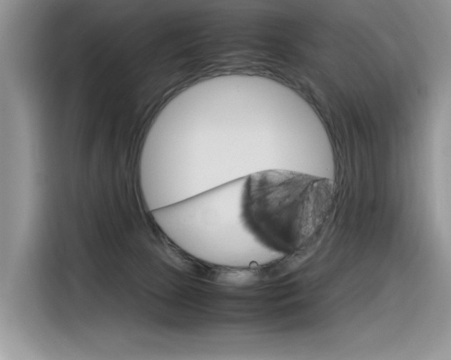 X0000116350081200912011047