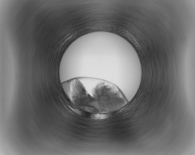 X0000116350095200912011047