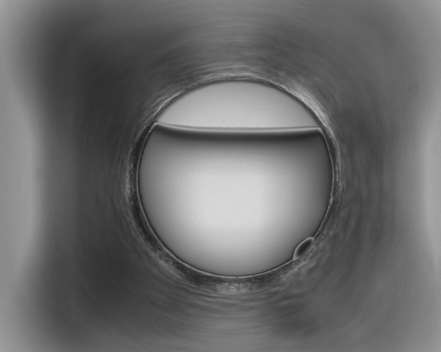 X0000116350105200912011046
