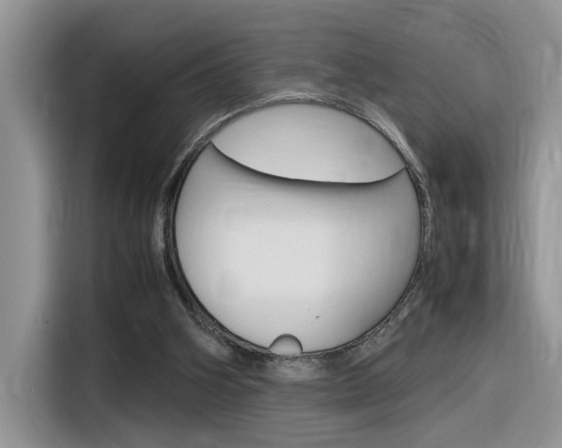 X0000116350106200912011046