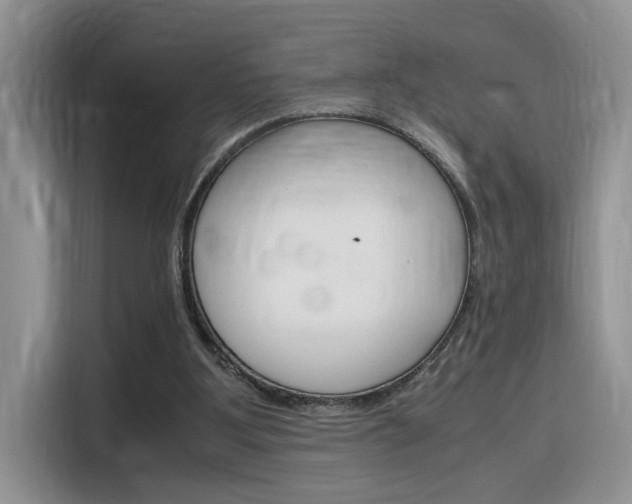 X0000116350107200912011046