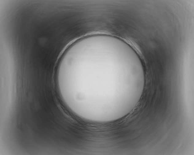X0000116350108200912011046