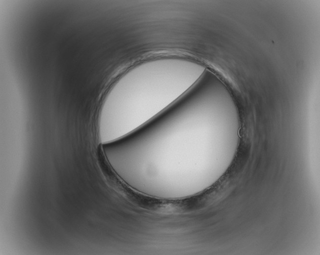 X0000116350111200912011046