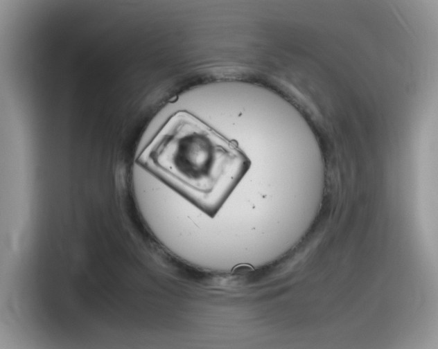 X0000116350117200912011046