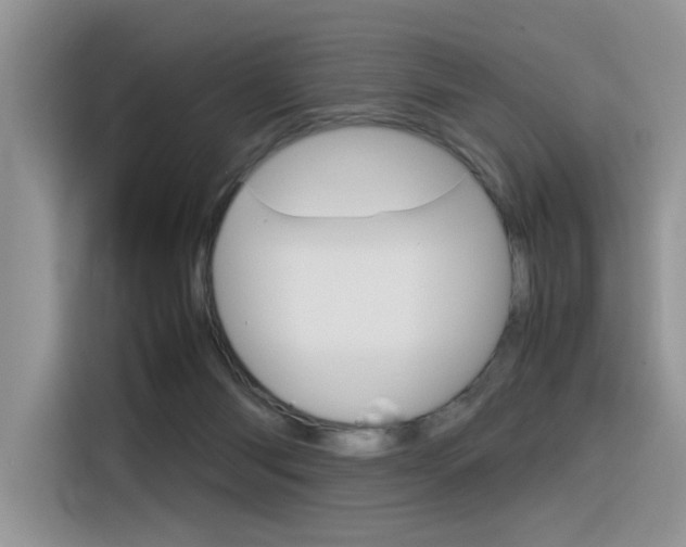 X0000116350118200912011046