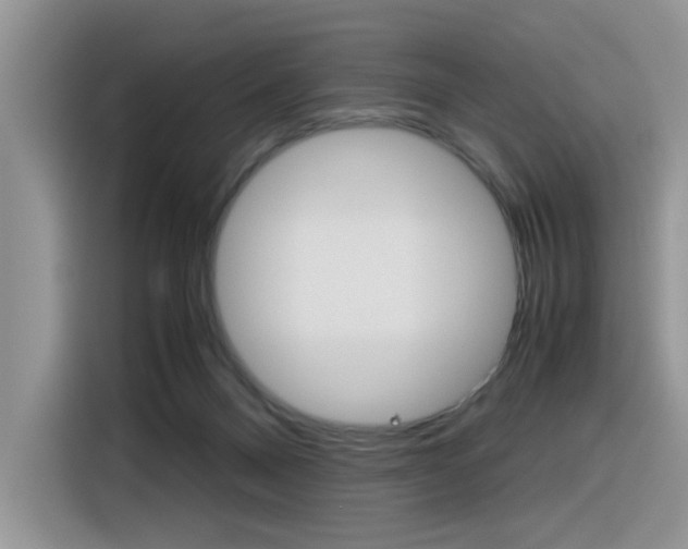 X0000116350120200912011046