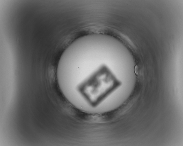 X0000116350121200912011046