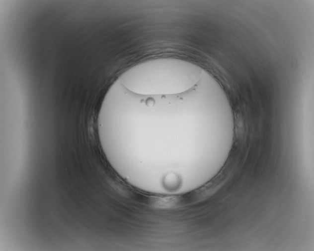 X0000116350122200912011046