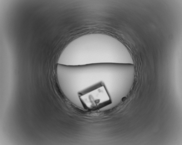 X0000116350129200912011046