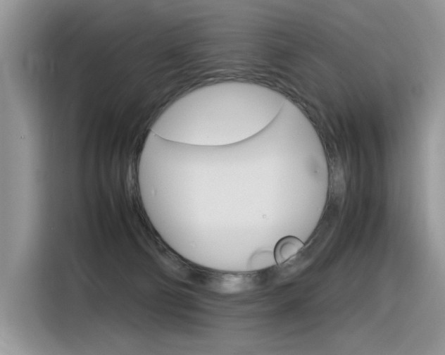 X0000116350130200912011046