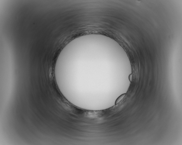 X0000116350134200912011046