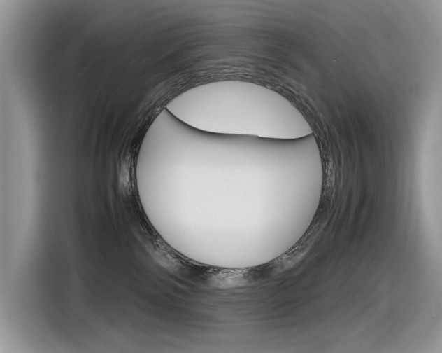 X0000116350138200912011046