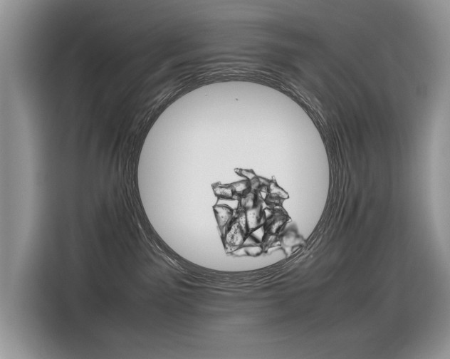 X0000116350141200912011046