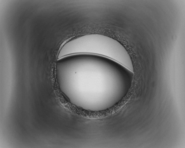 X0000116350144200912011046