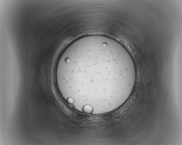 X0000116350145200912011045