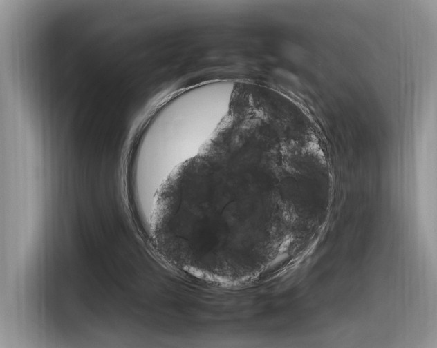 X0000116350149200912011045