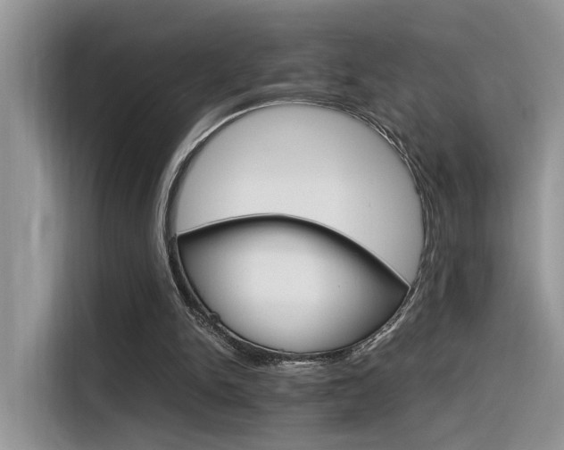 X0000116350150200912011045