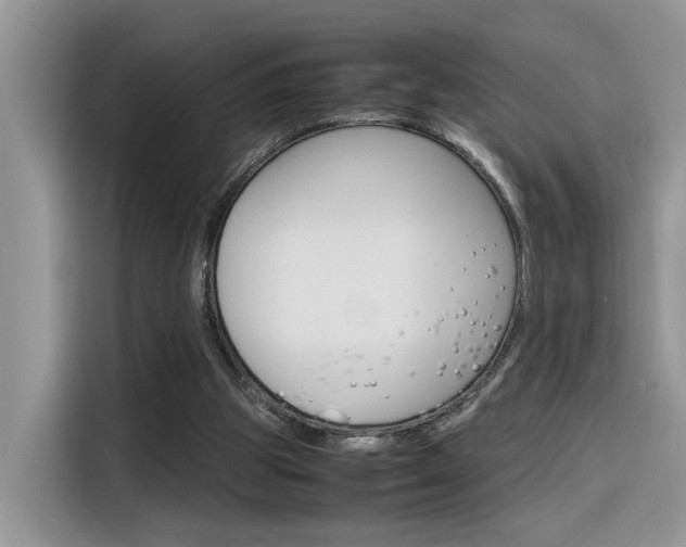 X0000116350153200912011045