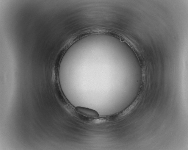 X0000116350158200912011045