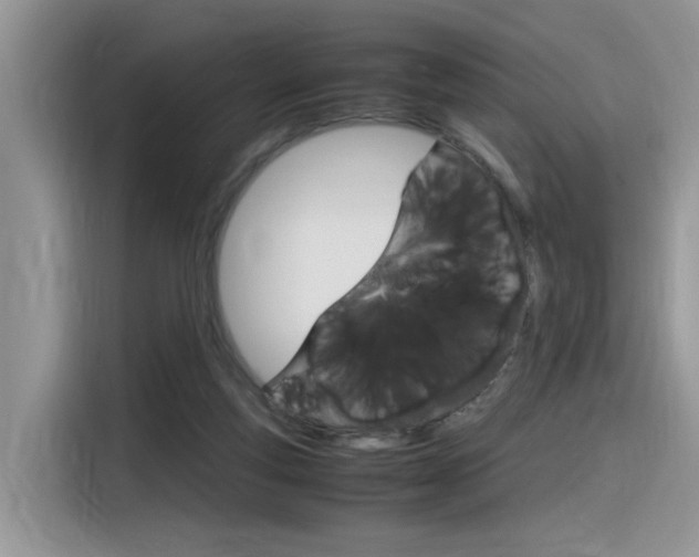 X0000116350163200912011045