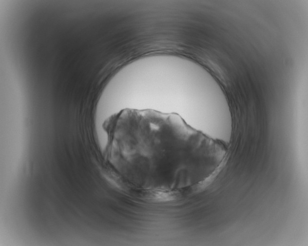 X0000116350166200912011045