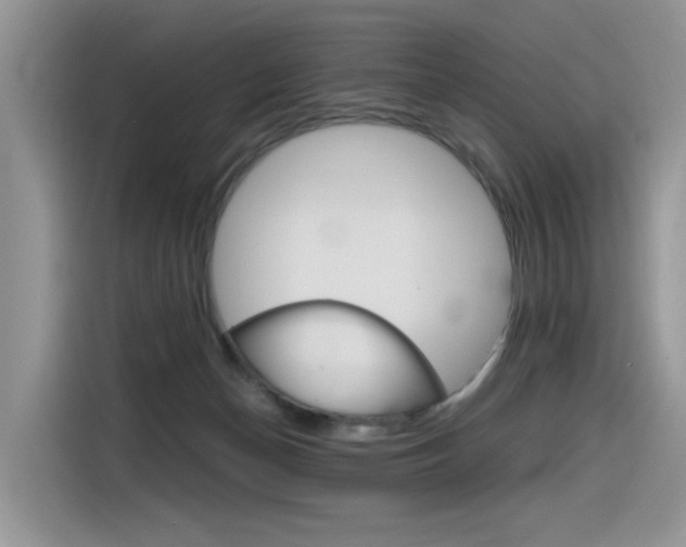 X0000116350174200912011045
