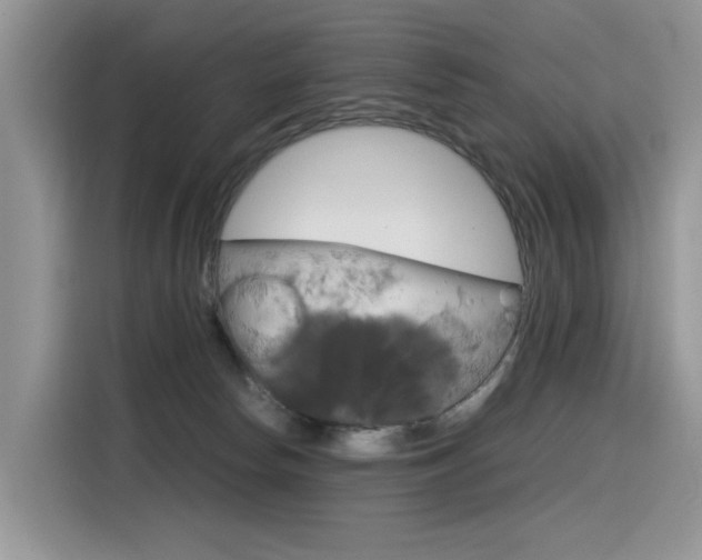 X0000116350178200912011045